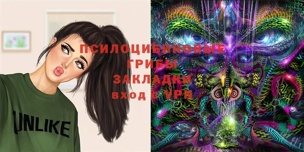 сатива Магадан
