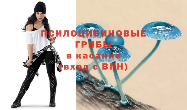 твердый Майский