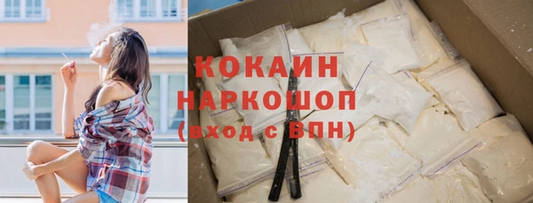 сатива Магадан