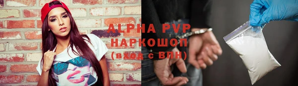 твердый Майский