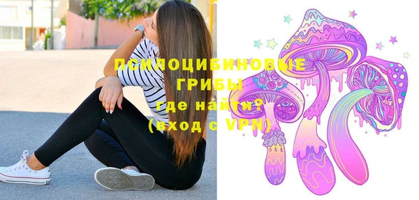 твердый Майский