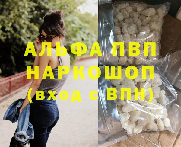 сатива Магадан