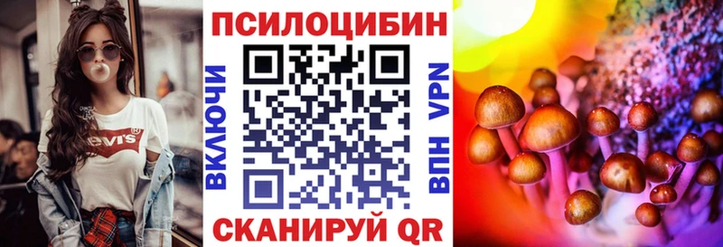 Галлюциногенные грибы Psilocybine cubensis  Гдов 