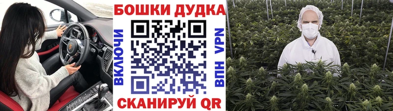 Марихуана LSD WEED  закладка  Гдов 